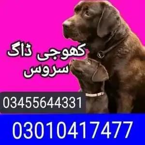 Army dog center — Rawalpindi